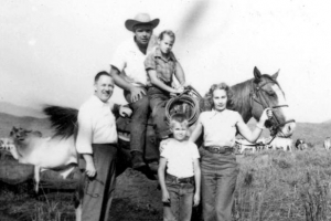 제주 말 풍경 사진 속 주인공 찾습니다