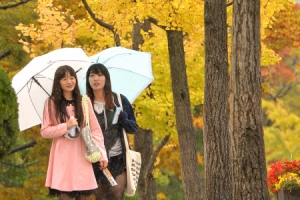 우산 위로 촉촉하게 가을이 내려요