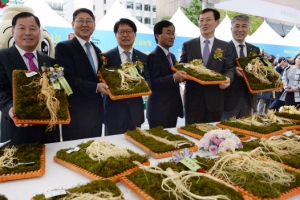 품질 좋아 상 받은 6년근 수삼들