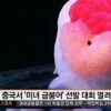 중국 미녀 금붕어 선발대회 “금붕어 한마리 최고 170만원에도 거래” 충격
