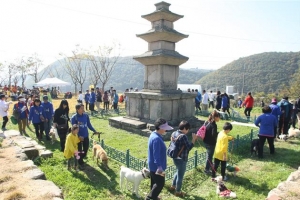 정말 ‘개판’된 축제