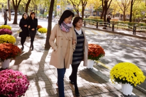 추억 한 걸음 낭만 두 걸음… 신정동 ‘걷고 싶은 거리’