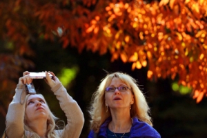 단풍 고운 빛 담아갈래요