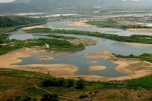 철새들 겨우 습지 돌아왔는데 그 위로 도로 건설하는 대구