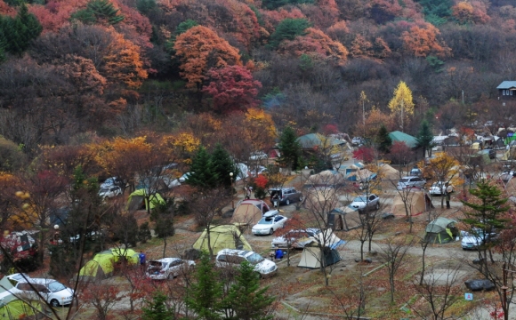 실속… 전북 무주·장수