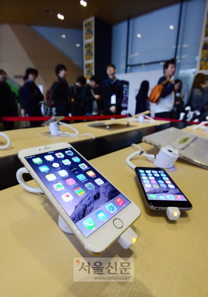 애플의 아이폰6와 아이폰6플러스가 출시된 31일 서울 광화문 KT 올레스퀘어에서 고객들이 개통을 기다리고 있다.  도준석 기자 pado@seoul.co.kr