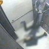 서세원 서정희 아무도 없는 곳에 질질 끌고 가 “CCTV 보니…” 경악