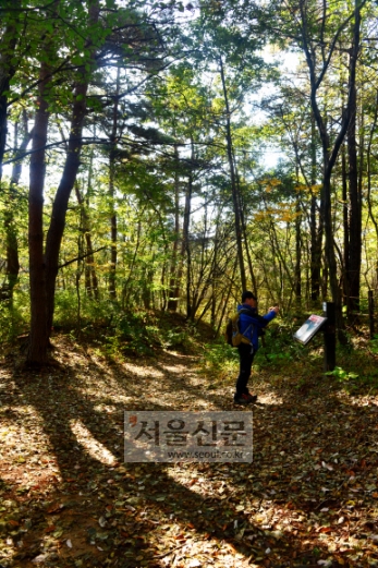 장성새재 정상. 달이 안 보일 정도로 외져 ‘월은치’라고도 불린다.