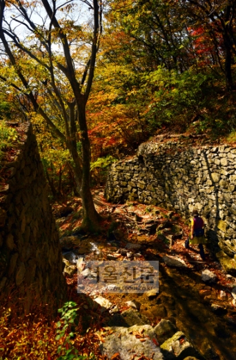 단단한 성벽과 단풍 든 나무들이 어우러진 입암산성 남문.