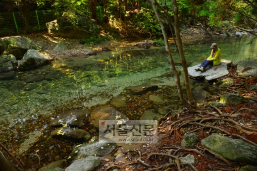 입암산성 초입의 남창계곡. 피겨 여제 김연아가 이곳에서 한 업체의 CF를 촬영했다고 한다.