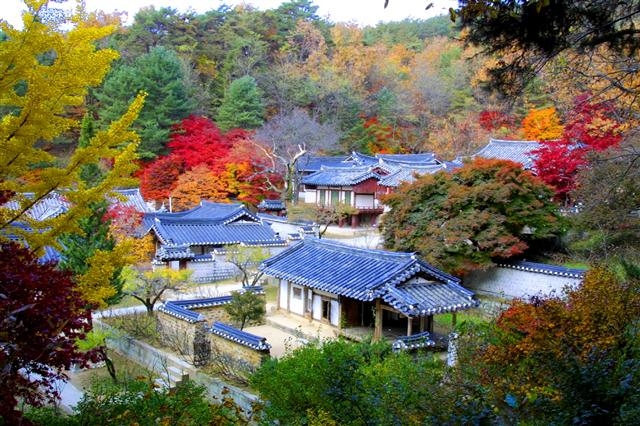 도산서원 안동시 제공