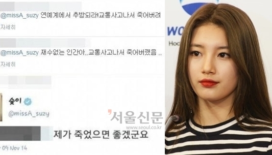 수지 악플러 댓글