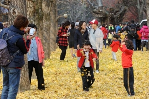 송파구에서 온 낙엽 남이섬의 ‘화룡점정’