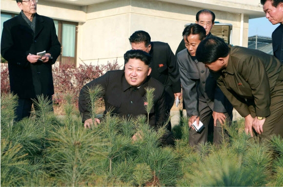 북한 김정은 국방위원회 제1위원장이 평양에 있는 중앙양묘장을 시찰하고 나무심기 운동에 대대적으로 나설 것을 지시했다고 노동신문이 11일 보도했다. 노동신문 사진에서 김정은 제1위원장은 쪼그려 앉아 묘목을 만지는 등 다리에 큰 불편이 없는 듯한 모습을 보였다.  연합뉴스