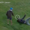 크리켓 경기 중 몸날려 공잡은 남성 ‘상금 4천 달러’