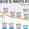 쌀 재배면적 81만 6000㏊