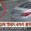 경주 도심 멧돼지 소동…공원, 학교 인근서 멧돼지 8마리나 출몰, 대처방법은?