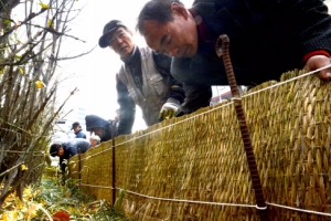 나무도 풀도 모두가 따뜻한 겨울