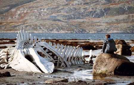 영화 ‘리바이어던’