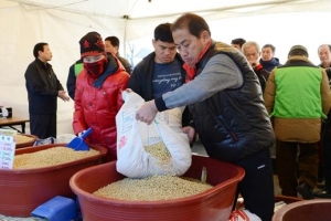 “파주 명품 콩 20~30% 싸게 사세요”