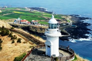 더할 것 없는 이 곳에 콘도라니…