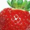 [농촌진흥청과 함께하는 식품보감] (20) 딸기