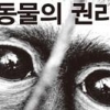 약자의 미래와 맞닿은 동물권을 고민하다