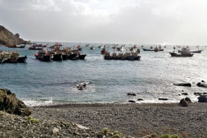 강풍으로 가거도항에 피항한 中어선들