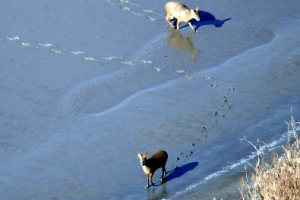 “너와 나 둘뿐이야”