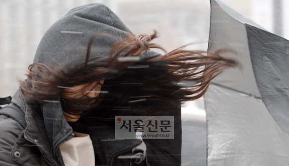 전국적으로 강풍을 동반한 눈이 내린 1일 오전 한 시민이 우산으로 눈을 피하며 서울 광화문 사거리를 걷고 있다.  도준석 기자 pado@seoul.co.kr