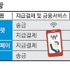뱅크월렛·카카오페이… 소비자는 웃지만 은행은 웁니다