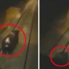 철로 위 곰 쫓아 가속하는 러 열차 기관사 ‘공분’