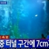 제2롯데월드 아쿠아리움 7cm 균열 “바닥에 물이…” 충격적 상황