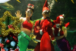 인어공주의 크리스마스