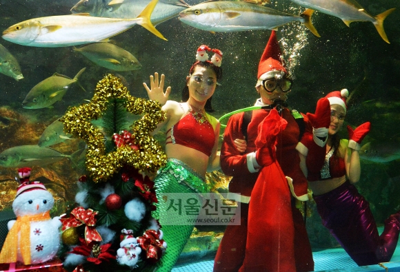 인어공주의 크리스마스