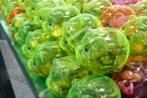 사랑에 빠진 성북 숭곡초 어린이들