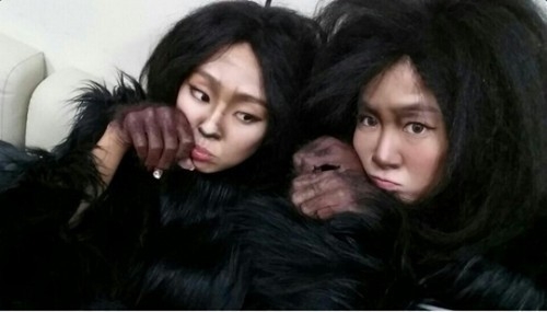 스케치북 씨스타