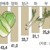 작년 채소값 폭락