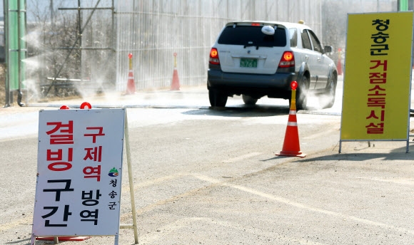 주말에도 계속되는 구제역 방역