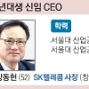 [재계 인맥 대해부 (2부)후계 경영인의 명암 SK그룹(하)] 새판 짜기 나선 52세 동갑내기 CEO 둘