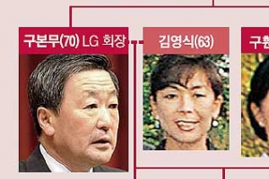 [재계 인맥 대해부 (2부)후계 경영인의 명암 <16>LG그룹] LG家 정·재·관·학계 혼맥 화려… 삼성·한진·대림家와도 연결