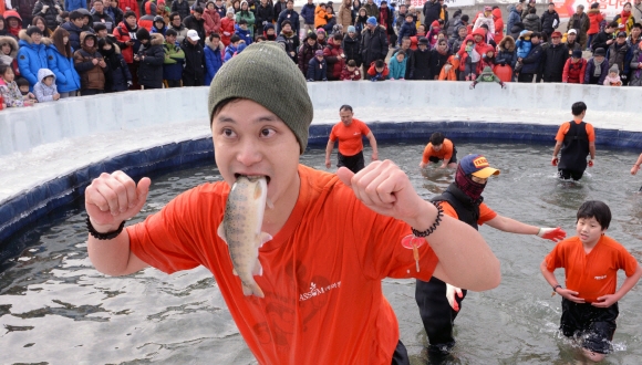 18일 강원 화천군 화천천에서 ‘2015 산천어축제’가 열려 맨손으로 산천어 잡기 행사에 참가한 관광객들이 즐거운 한때를 보내고 있다. 화천 이종원 선임기자 jongwon@seoul.co.kr