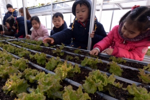 도심 속 텃밭 찾은 동심