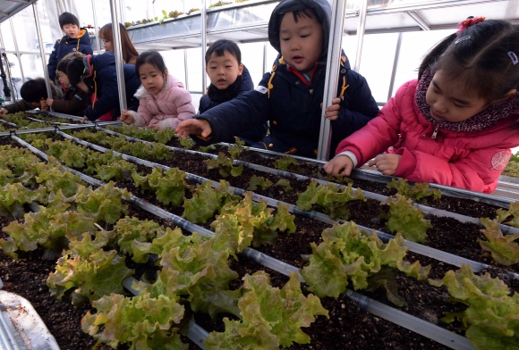 도심 속 텃밭 찾은 동심