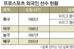 [커버스토리] 용병…프로스포츠 속 존재 의미