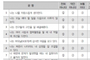 초·중·고 인성진단 질문, 최선입니까