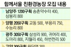 [홍혜정 기자의 돈 되는 행정정보] 상추·쑥갓… 텃밭서 친환경 먹거리를