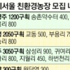 [홍혜정 기자의 돈 되는 행정정보] 상추·쑥갓… 텃밭서 친환경 먹거리를