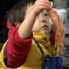 서언 서준 수산시장 점령, 새우 덥석 잡고 꼬막 한움큼 쥐고 ‘깜찍’
