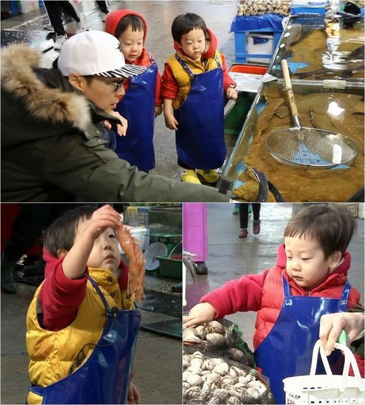 서언 서준 수산시장 점령, 물고기-새우 거침없이 맨손으로..‘상남자 포스’
